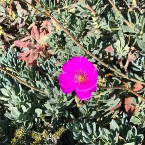 Meet your Posher, Kari